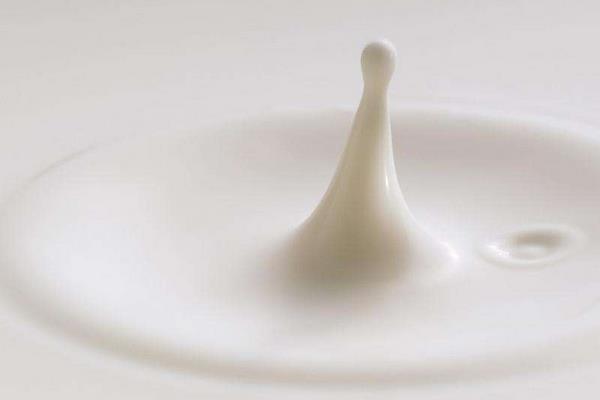 孕妇可以喝羊奶吗 喝羊奶上火吗