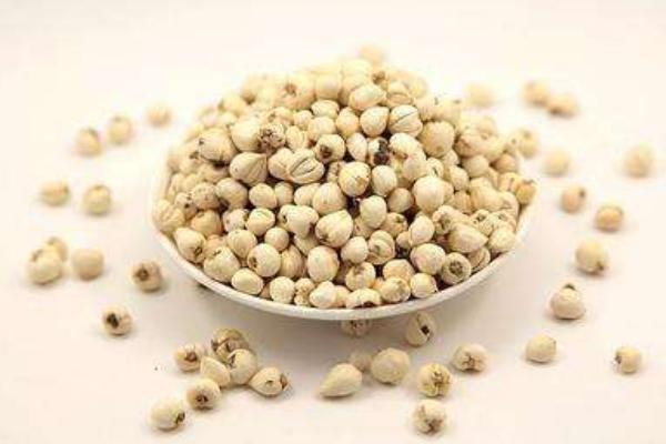 川贝的功效与作用及禁忌 川贝的药用价值