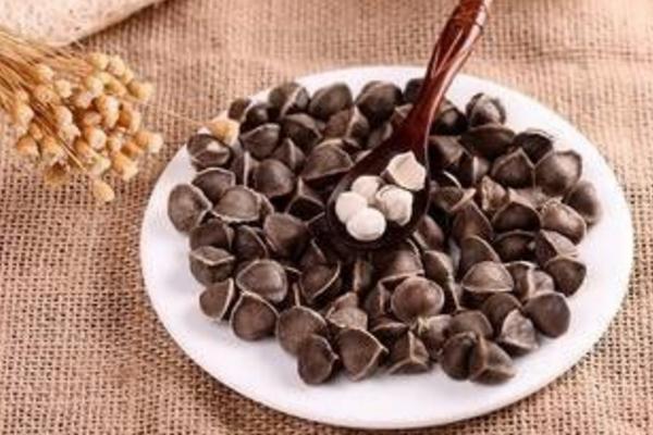 辣木籽怎么吃减肥 辣木籽能治口臭吗