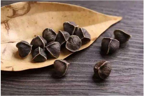辣木籽怎么吃是正确的 辣木籽吃了有什么好处