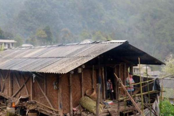 未来十年农村发展趋势