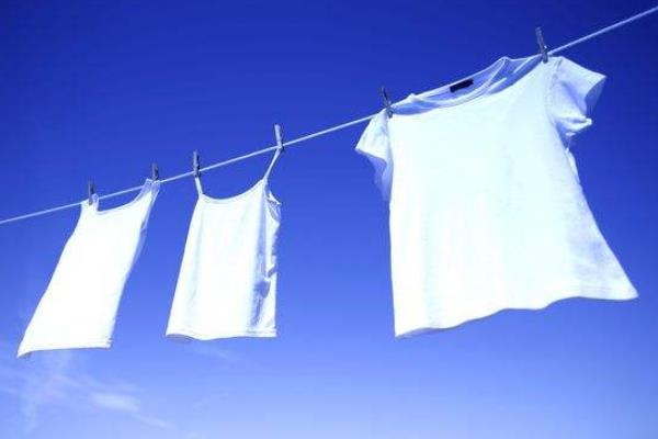 杀蚊子较强的农药,这些农药效果好