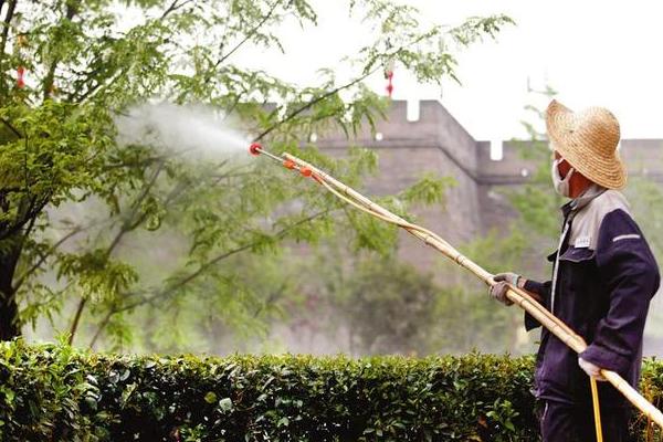 杀蚊子较强的农药,这些农药效果好