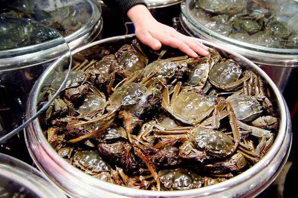 大匣蟹死了可以吃吗,死多久的可以吃?