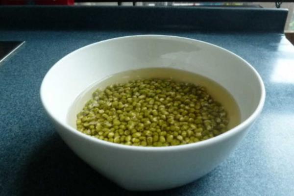 豆芽怎么种植方法,附过程