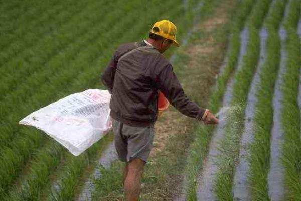 金正大复合肥多钱一吨？三个15、17、18的价格