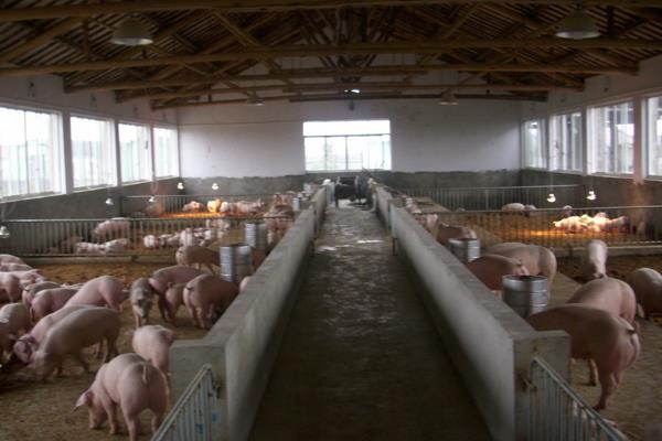 农村干什么行业能挣钱,8个2020年新项目推荐