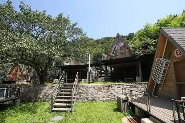 农村干什么行业能挣钱,8个2020年新项目推荐