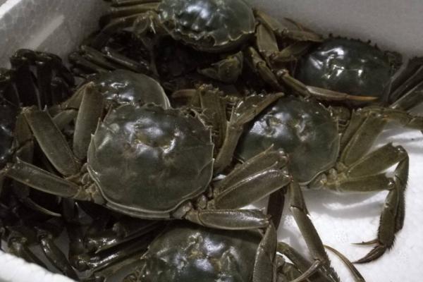 大匣蟹死了可以吃吗,死多久的可以吃?
