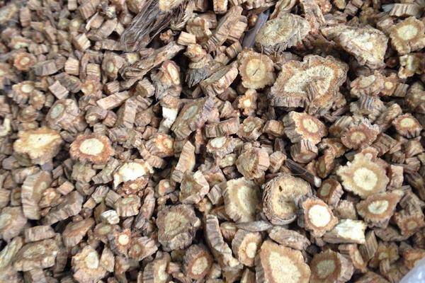 北方适合种的5种中药材,市场需求大