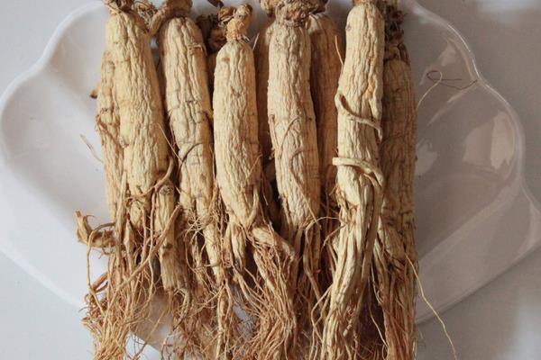 北方适合种的5种中药材,市场需求大