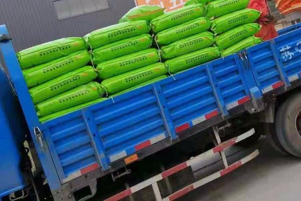 4个农村不起眼的暴利项目,每天都看到就是想不到