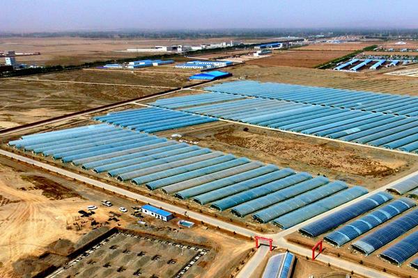 未来农业的生产发展趋势,先了解先布局