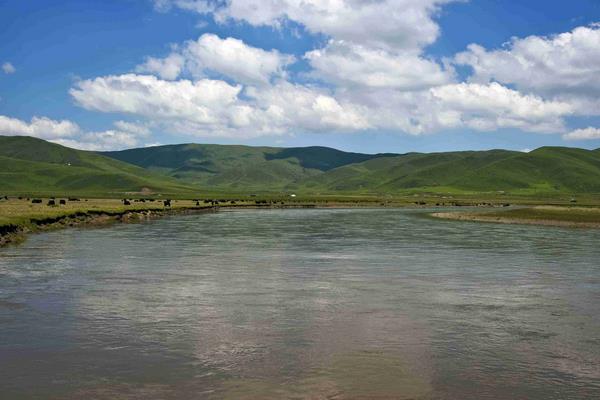 未来农业的生产发展趋势,先了解先布局