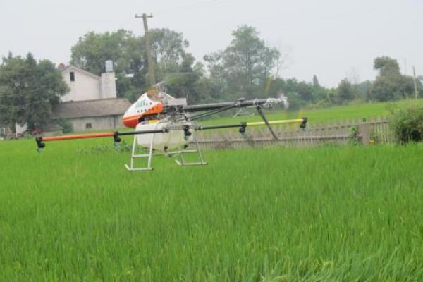 未来农业的生产发展趋势,先了解先布局