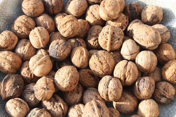 新疆特色种植品种有哪些?一年四季都有好吃的干鲜瓜果