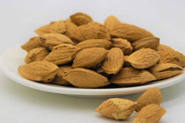 新疆特色种植品种有哪些?一年四季都有好吃的干鲜瓜果