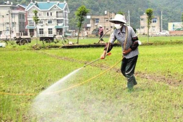 除草剂种类有哪几种?怎么分类