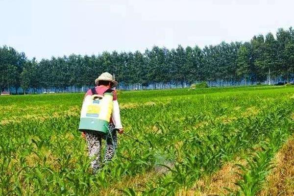 除草剂种类有哪几种?怎么分类