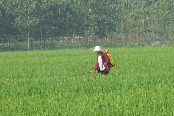 除草剂种类有哪几种?怎么分类