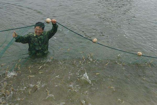南美白对虾养殖方法,掌握这7点轻松提高产量和收益