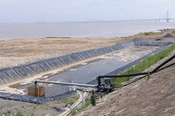 南美白对虾养殖方法,掌握这7点轻松提高产量和收益