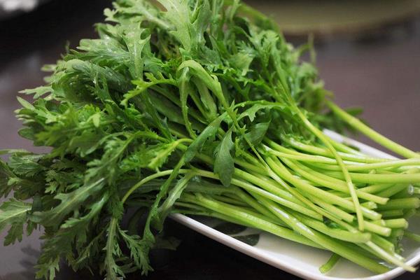 现在卖什么蔬菜好卖?这5种拉到市场分分钟卖光