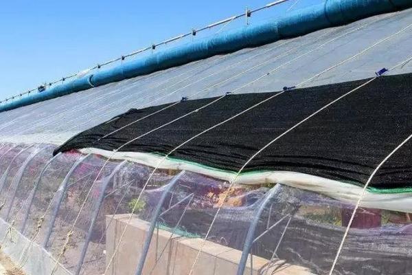 自制大棚增温块