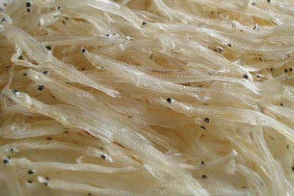 利润高的淡水鱼有哪些?这5种淡水鱼好养又好卖