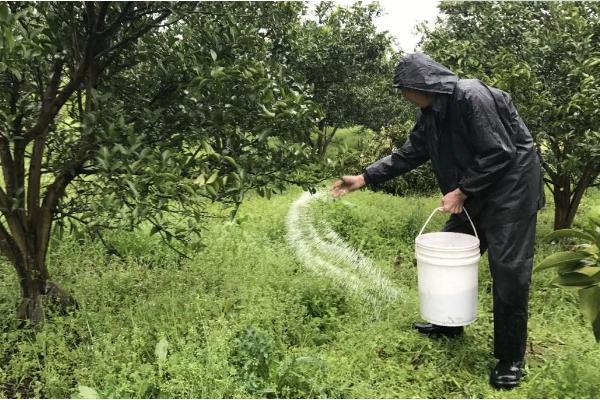 复合肥一亩地用多少
