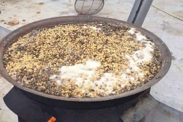 发酵大豆肥料的肥效