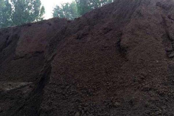 羊粪有机肥发酵方法