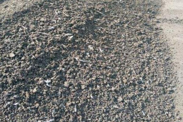 羊粪有机肥发酵方法