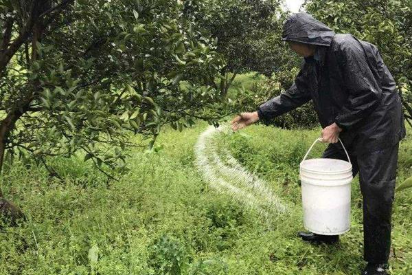 硝酸磷钾肥如何使用？附作用及效果