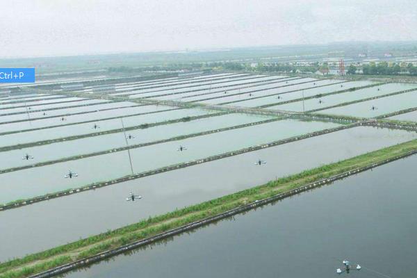 水产养殖溶氧仪是什么?有什么作用?