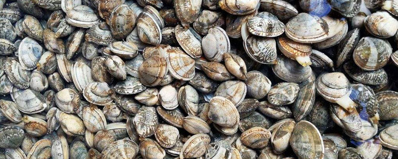 各种海鲜养殖方法,水温控制很重要