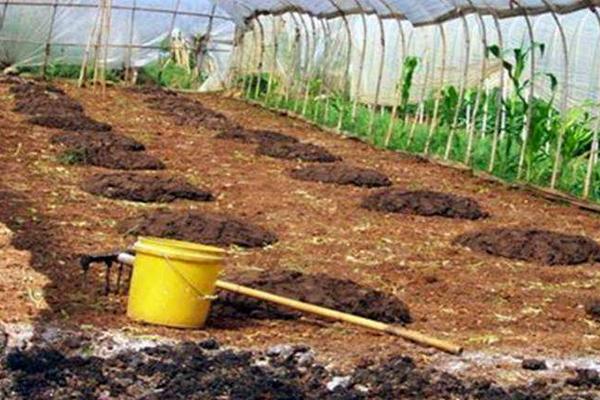 有机肥怎么施肥