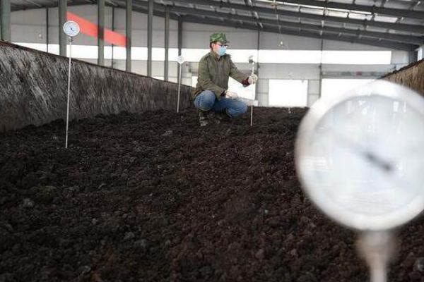 有机肥的生产