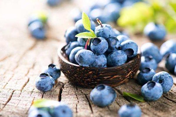 蓝莓施肥用什么肥料