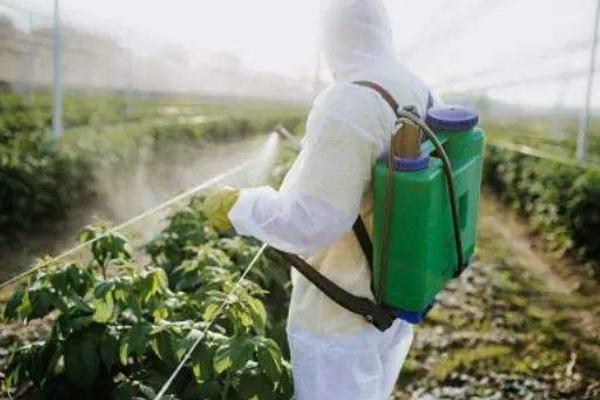 自制强力除草剂,