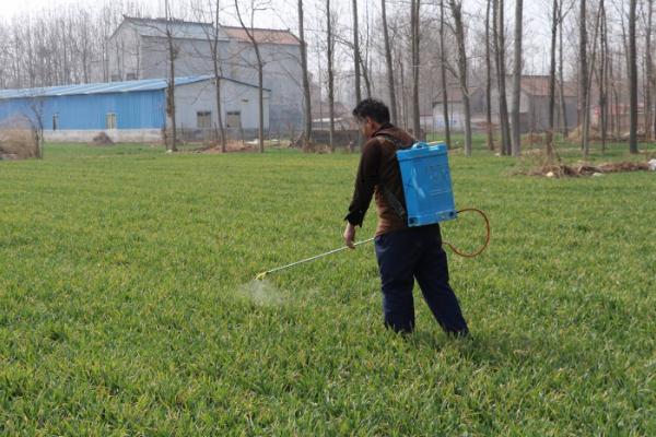 小麦除草剂组合配方