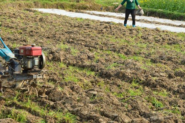 西瓜施肥时间及方法