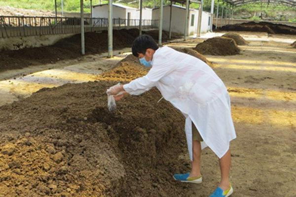 有机肥怎么发酵