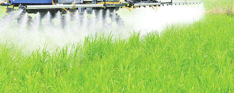 水溶肥使用禁忌，正确使用才能发挥更好的效果