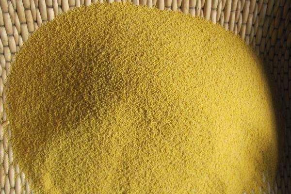 小米出虫了还能吃吗?小米的小白虫和飞蛾怎么产生的?