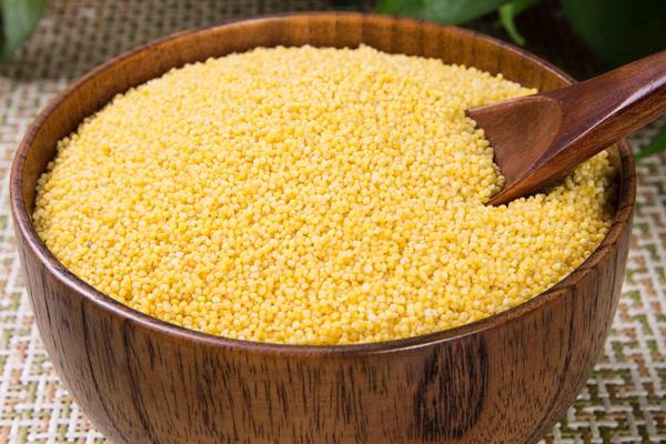 小米出虫了还能吃吗?小米的小白虫和飞蛾怎么产生的?