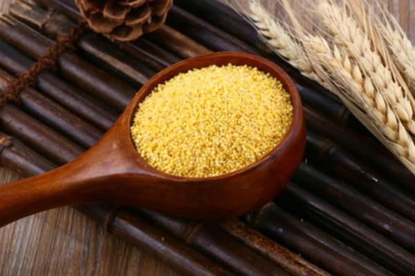 小米出虫了还能吃吗?小米的小白虫和飞蛾怎么产生的?