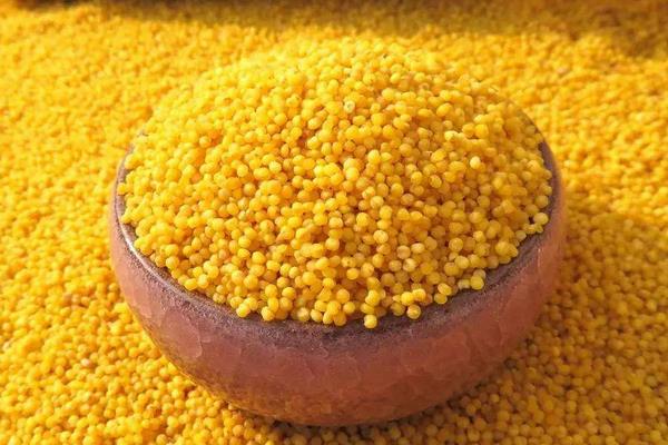 小米出虫了还能吃吗?小米的小白虫和飞蛾怎么产生的?