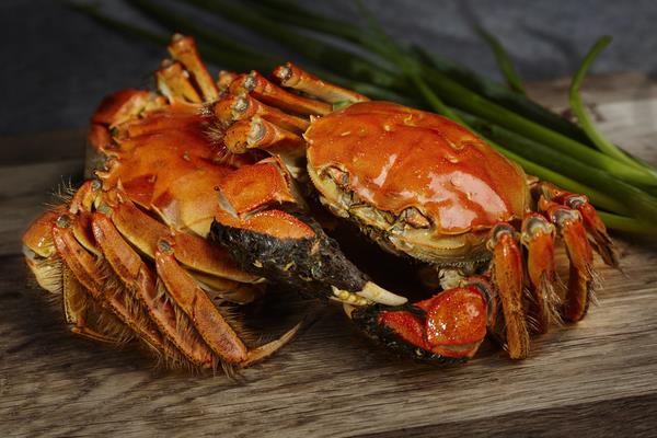 大闸蟹可以多吃吗?吃多了有什么坏处