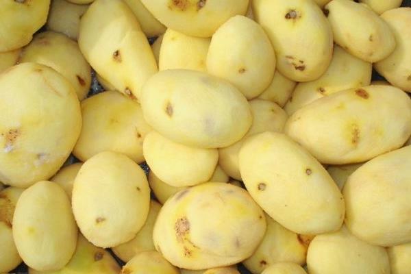 土豆放冰箱变黑色还能吃吗?附原因